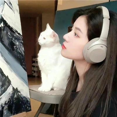 豺狼陷阱